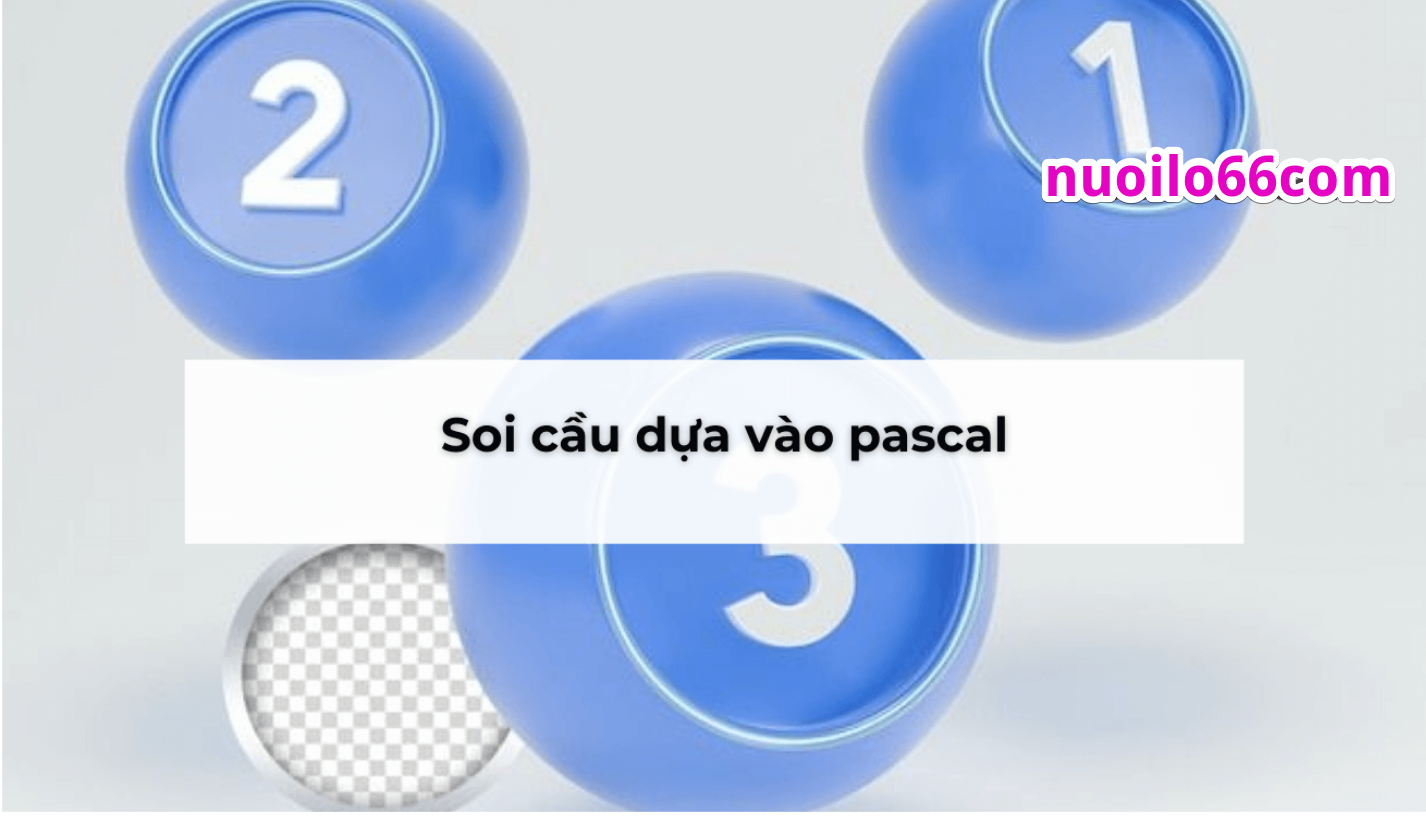 soi cầu pascal miền Nam